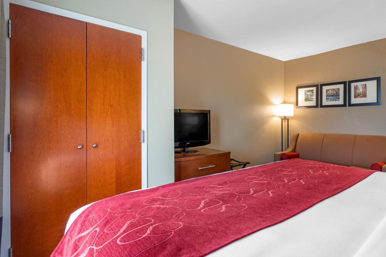 Comfort Suites North Νόξβιλ Εξωτερικό φωτογραφία