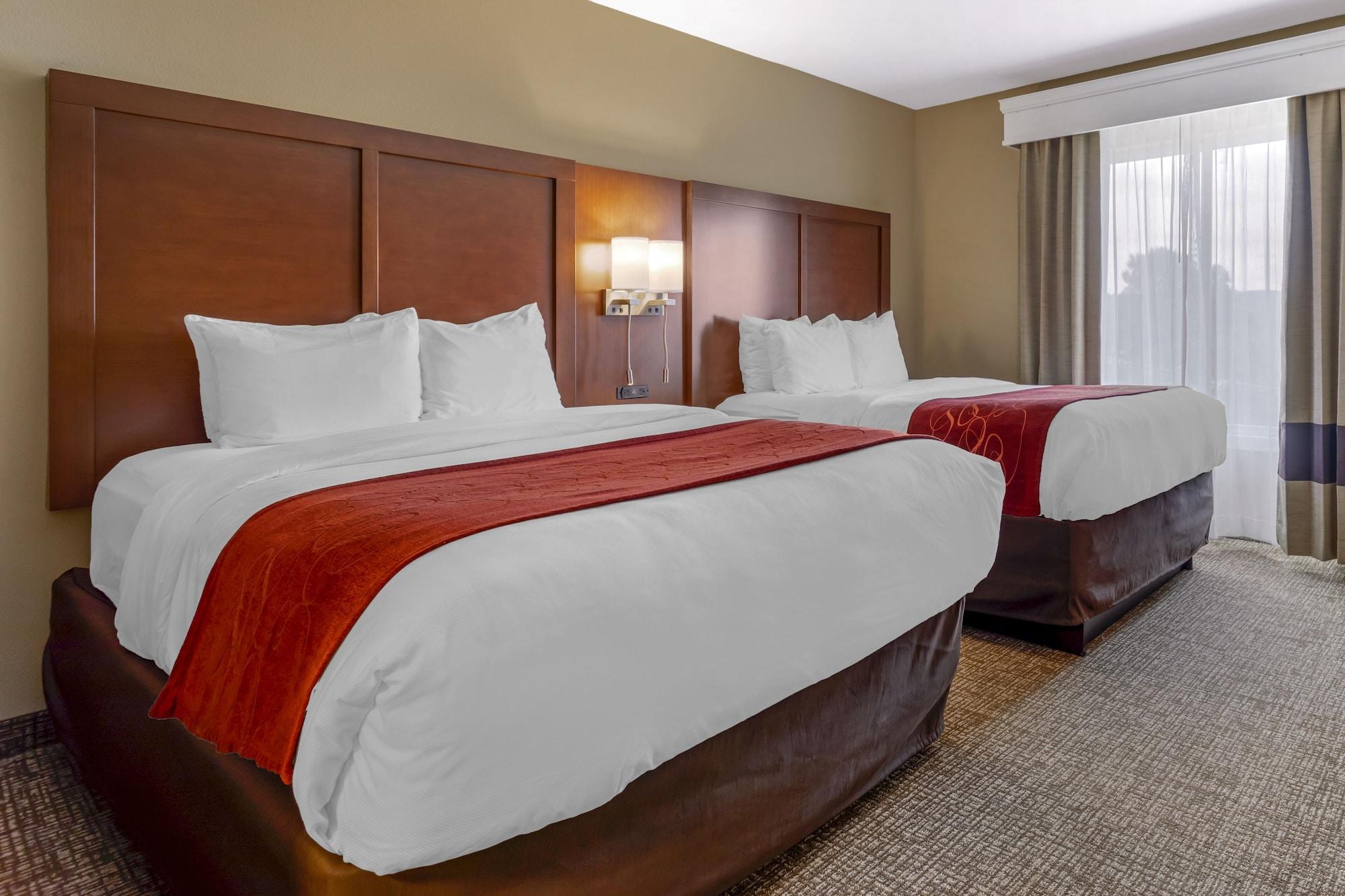 Comfort Suites North Νόξβιλ Εξωτερικό φωτογραφία