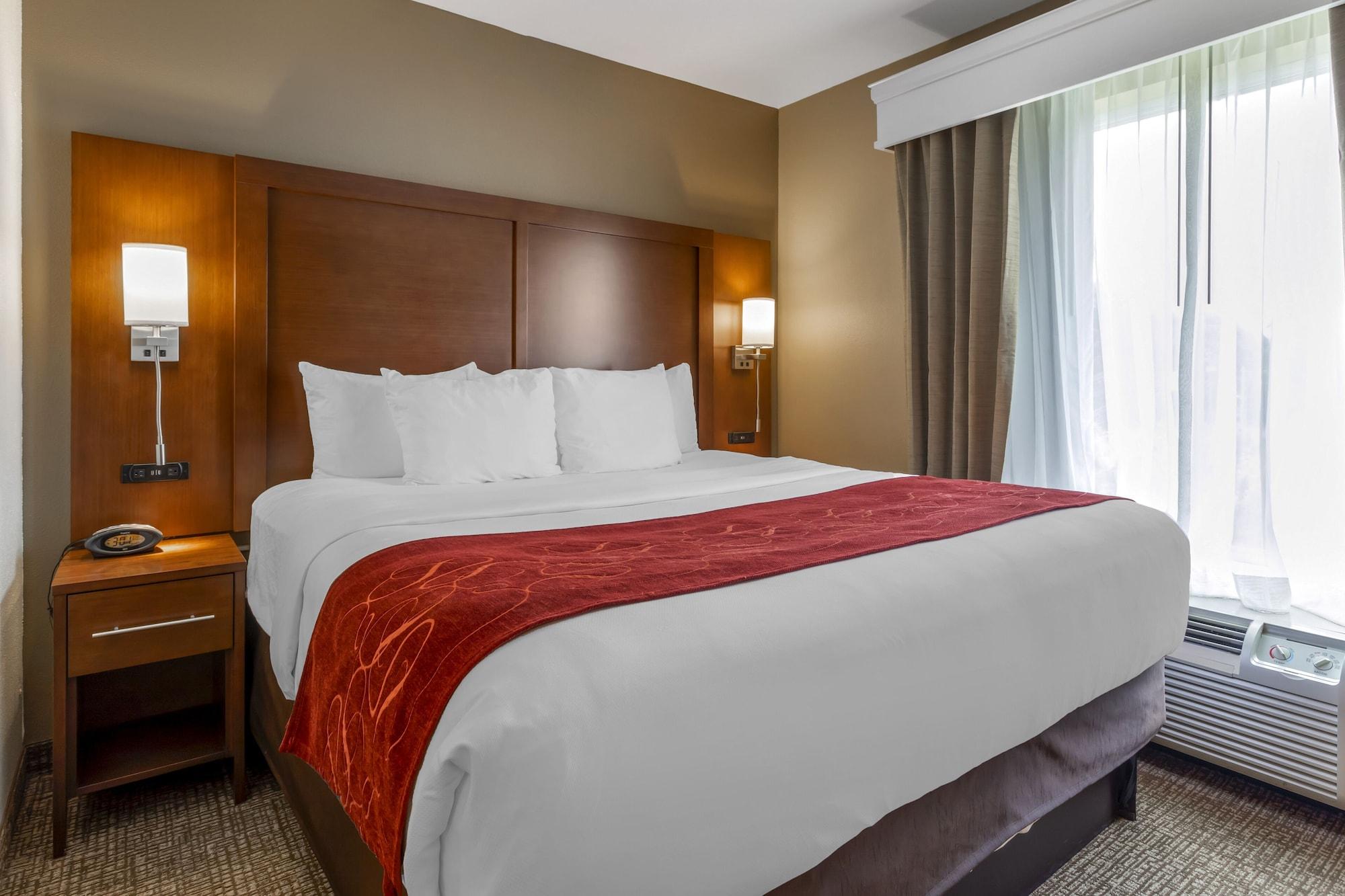 Comfort Suites North Νόξβιλ Εξωτερικό φωτογραφία